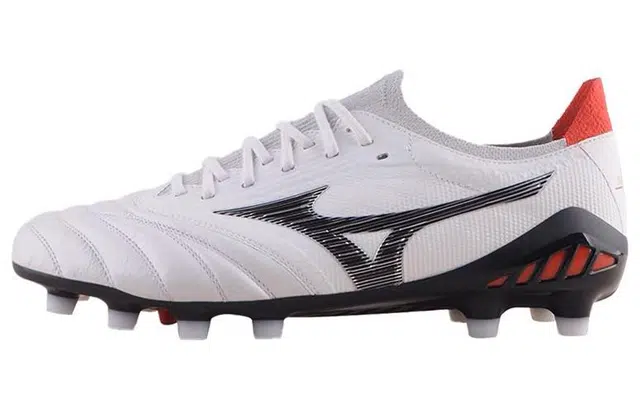 Mizuno