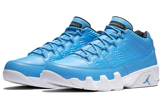 Jordan Air Jordan 9 Retro Low Pantone