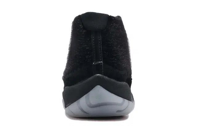Jordan Future