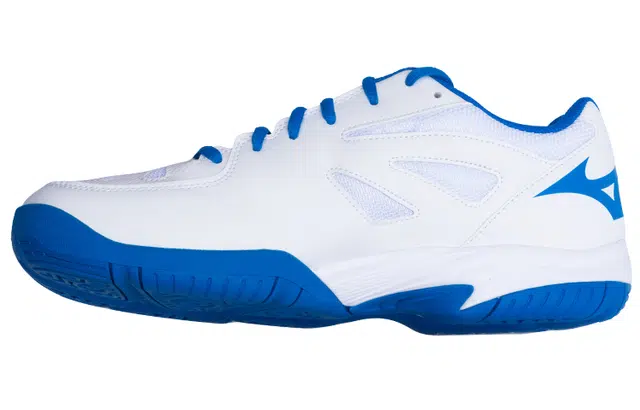 Mizuno