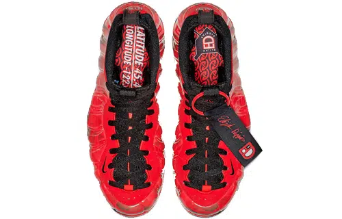 Nike Foamposite One Doernbecher 2019