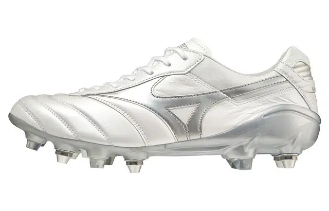 Mizuno Morelia