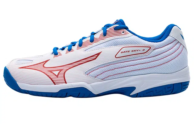 Mizuno