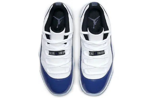 Jordan Air Jordan 11 retro low "concord sketch"