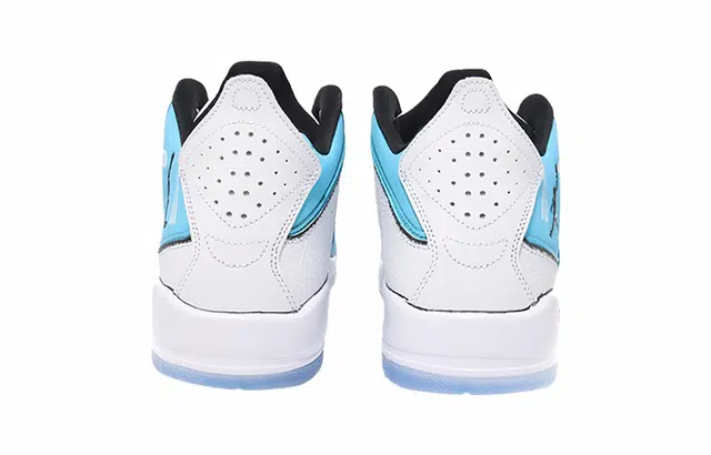 Jordan Courtside 23 11