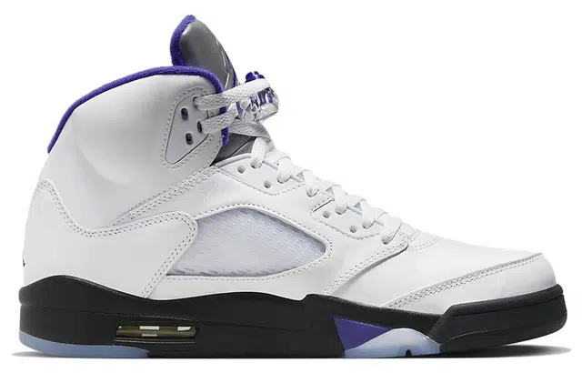 Jordan Air Jordan 5 retro "concord"