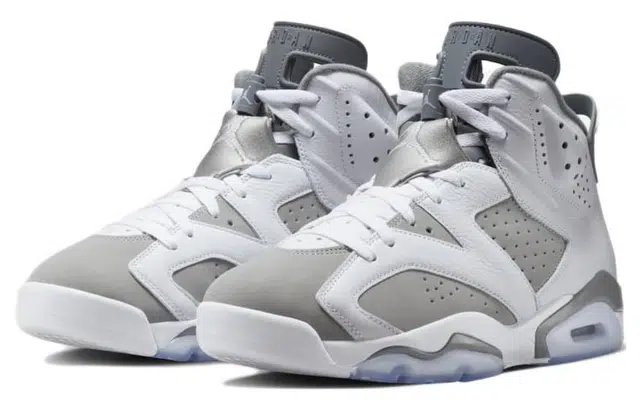 Jordan Air Jordan 6 "Cool Grey"