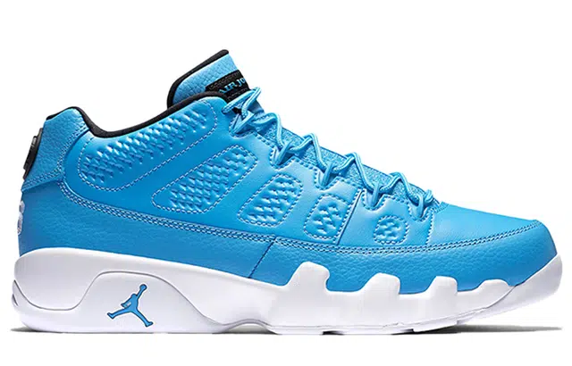 Jordan Air Jordan 9 Retro Low Pantone