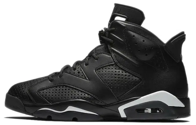 Jordan Air Jordan 6 Retro "Black Cat"