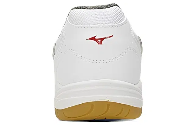 Mizuno School Indoor