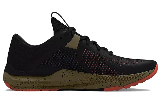 Under Armour Project Rock Bsr 2