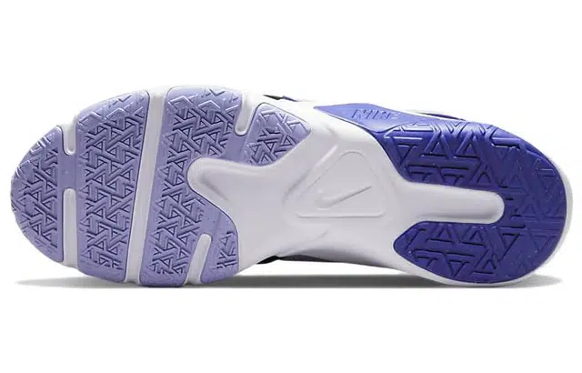 Nike Legend Essential 2