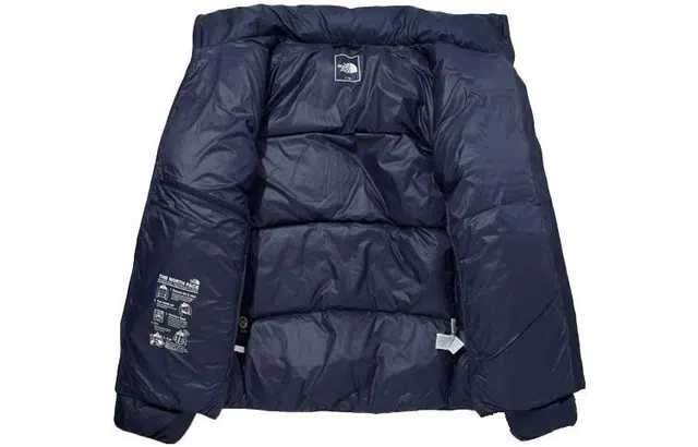 THE NORTH FACE Tech Pack Air Logo