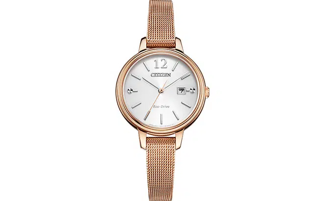 CITIZEN EW2447-89A