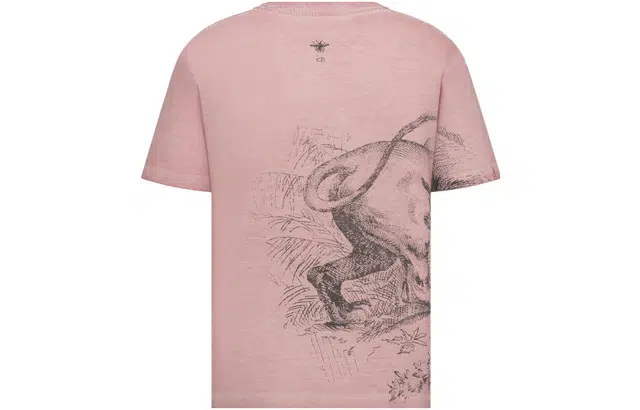 DIOR SS23 T