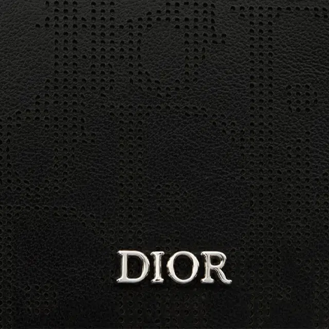 DIOR Oblique Galaxy