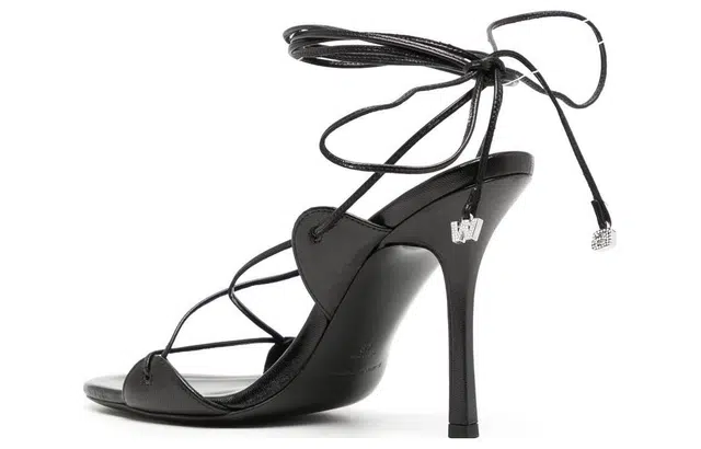 alexander wang 10.5cm
