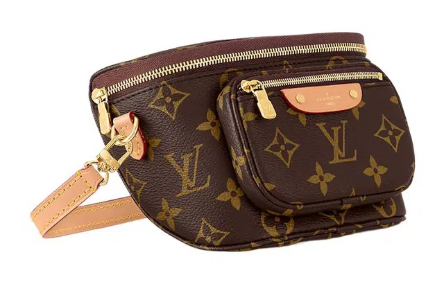 LOUIS VUITTON Bumbag