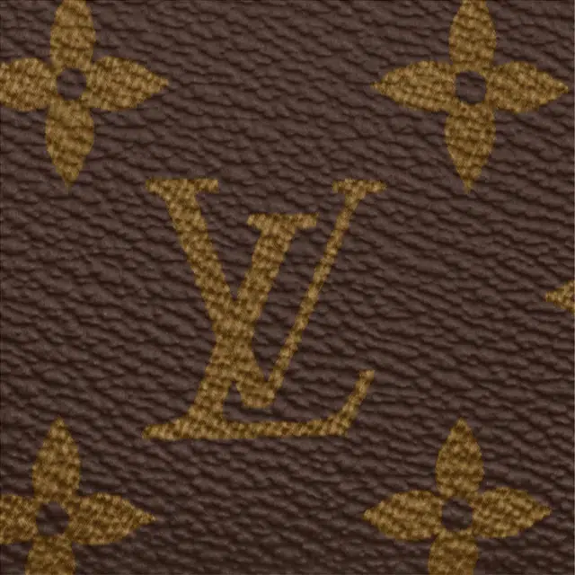 LOUIS VUITTON Zippy