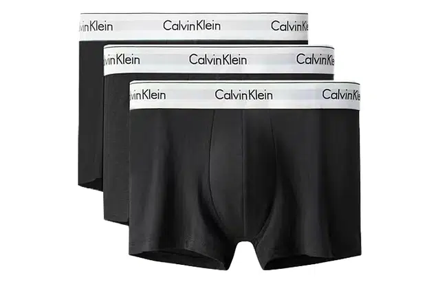 CKCalvin Klein Logo 3
