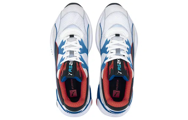 PUMA RS-2K Internet Exploring