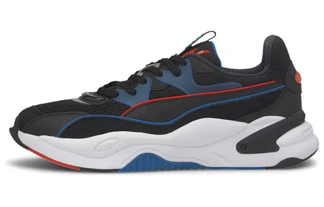 PUMA RS-2K Internet Exploring