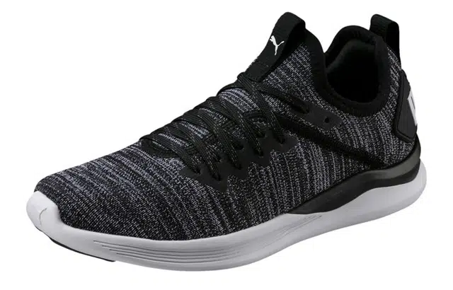 Puma Ignite Flash Evoknit