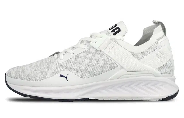 Puma Ignite Evoknit Lo