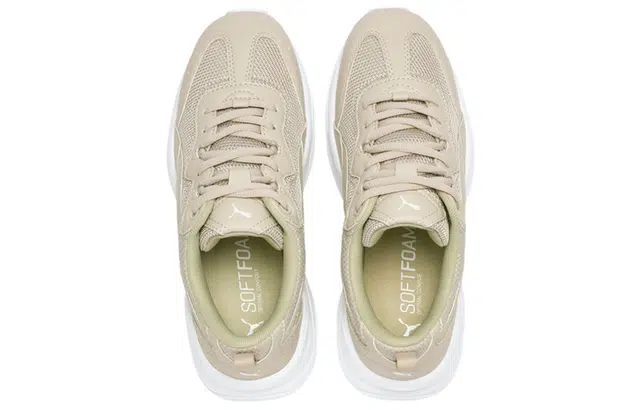 Puma Cilia