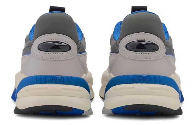 PUMA RS-2K Internet Exploring