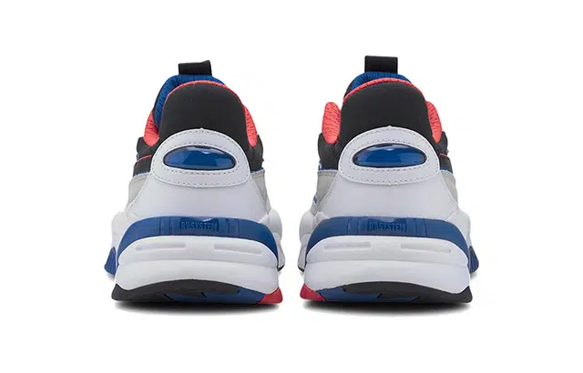 PUMA RS-2K Internet Exploring