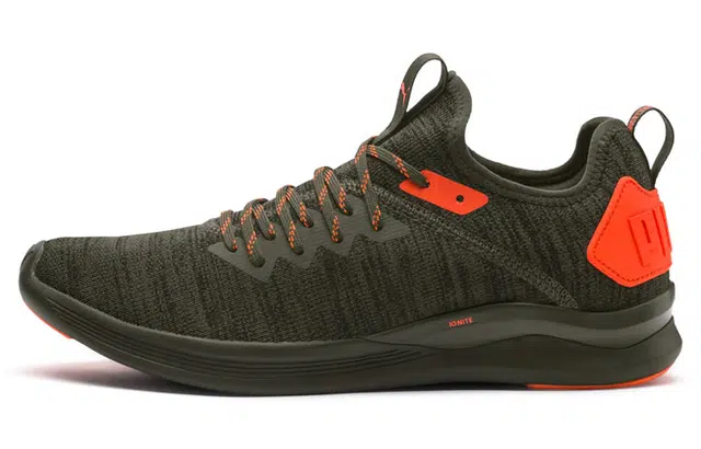 Puma Ignite Flash EvoKnit Unrest