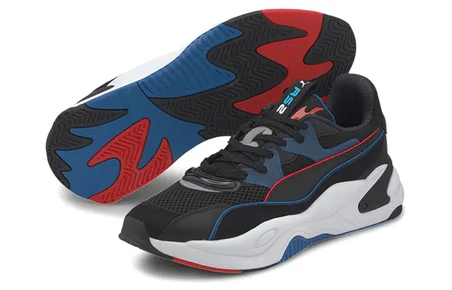 PUMA RS-2K Internet Exploring
