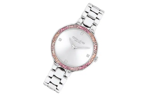 COACH Chelsea 14504165