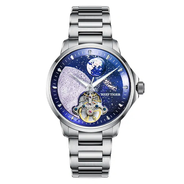 REEF TIGER RGA1683