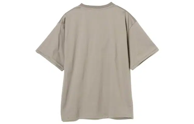 beams T