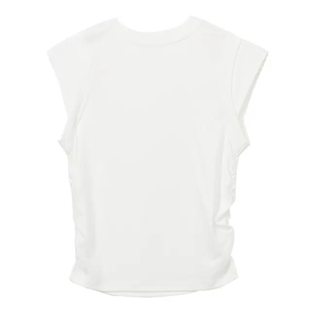 WESTLINK T