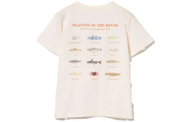 beams T