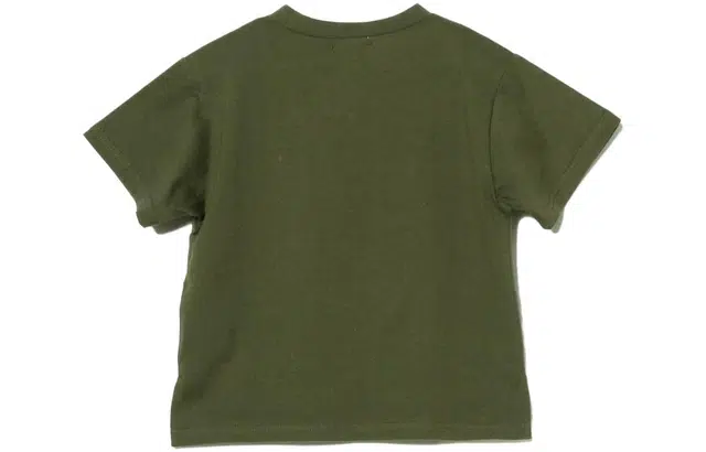 beams T