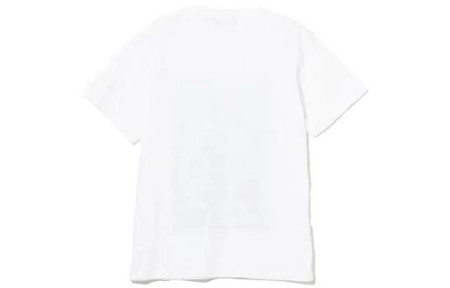 beams T
