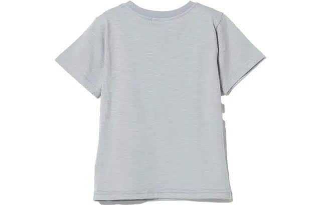 beams T