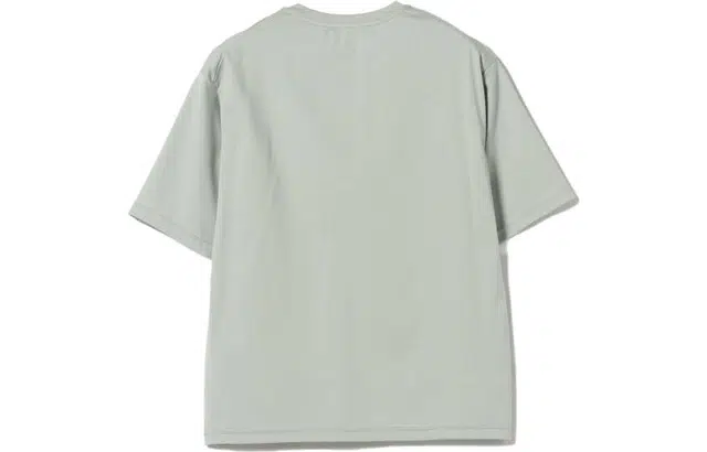 beams T