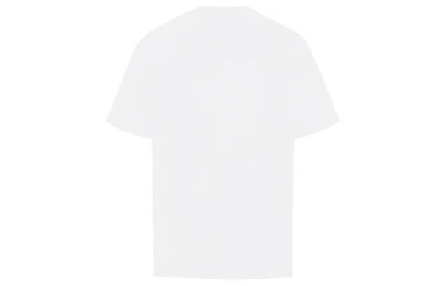 YLDP YT