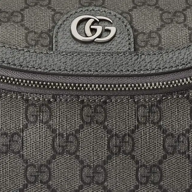 GUCCI Ophidia G