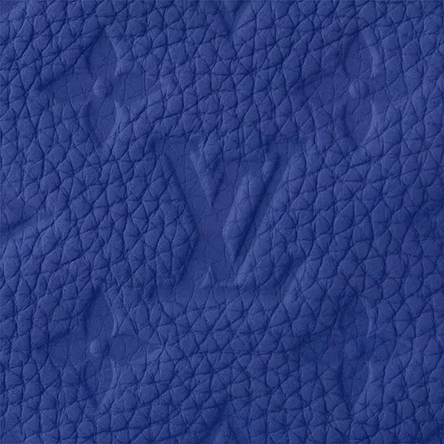 LOUIS VUITTON SOFT TRUNK