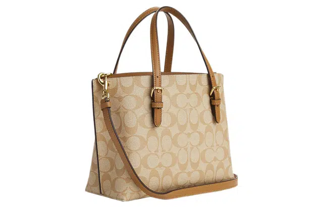 COACH Mollie 25 Tote