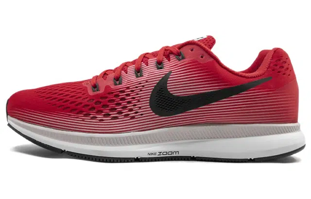 Nike Pegasus 34 Zoom 34