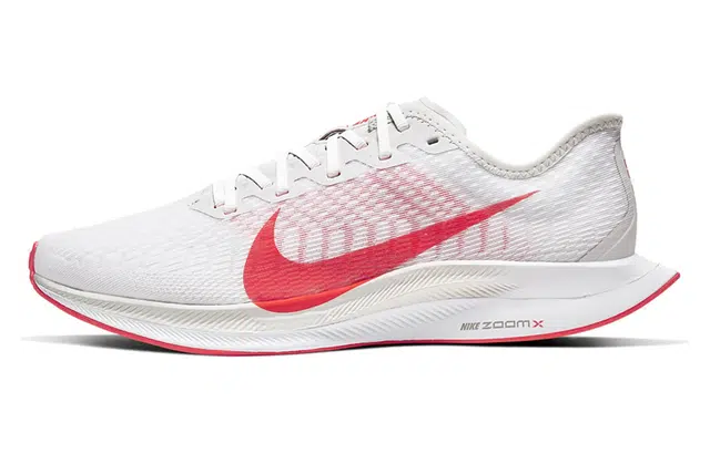 Nike Pegasus turbo 2