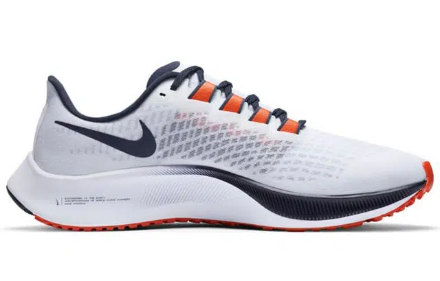 Nike Air Zoom Pegasus 37 "Chicago Bears"