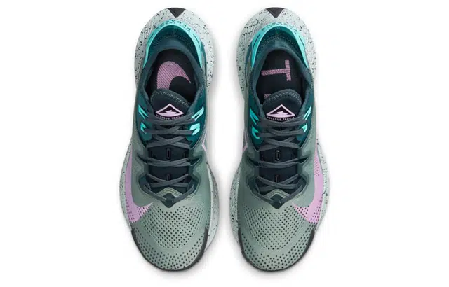 Nike Pegasus Trail 2